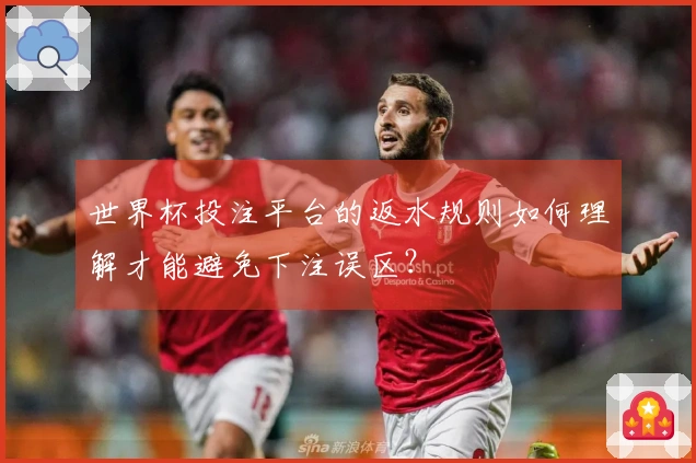 世界杯投注平台的返水规则如何理解才能避免下注误区？