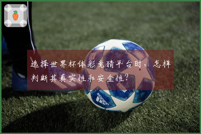 选择世界杯体彩竞猜平台时，怎样判断其真实性和安全性？