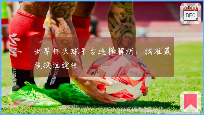 世界杯买球平台选择解析，找准最佳投注途径