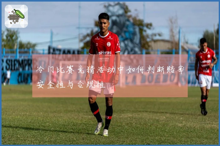 冷门比赛竞猜活动中如何判断赔率安全性与合规性
