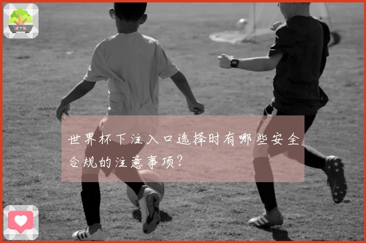 世界杯下注入口选择时有哪些安全合规的注意事项？